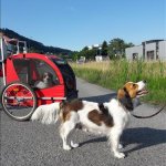 10 Woche
